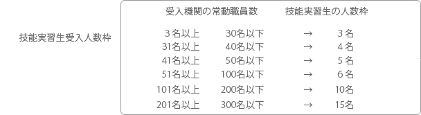 技能実習生受入人数枠